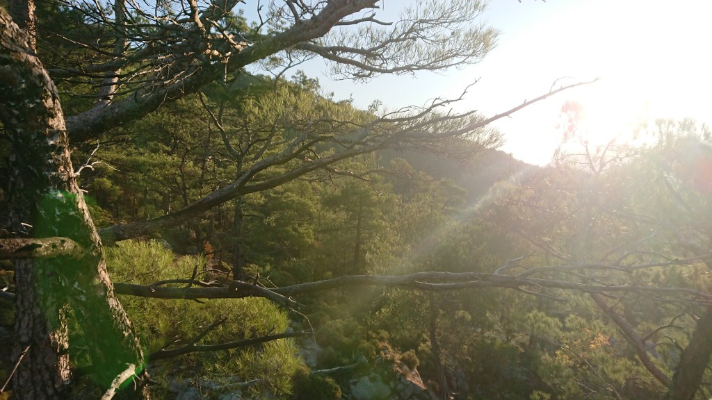 observations from the spectrum