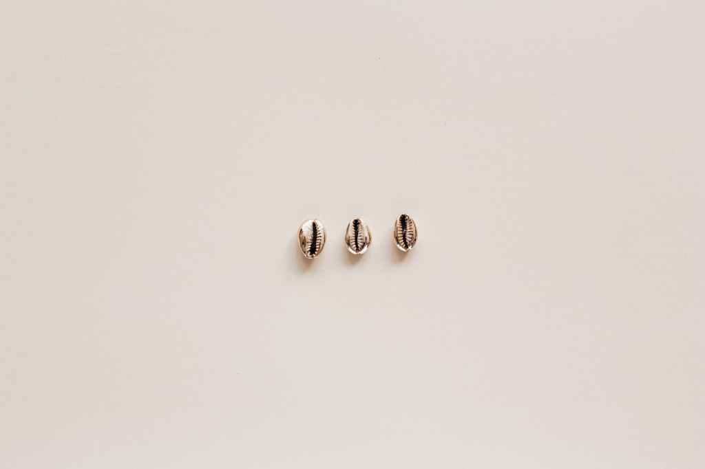 set of conchs on beige surface