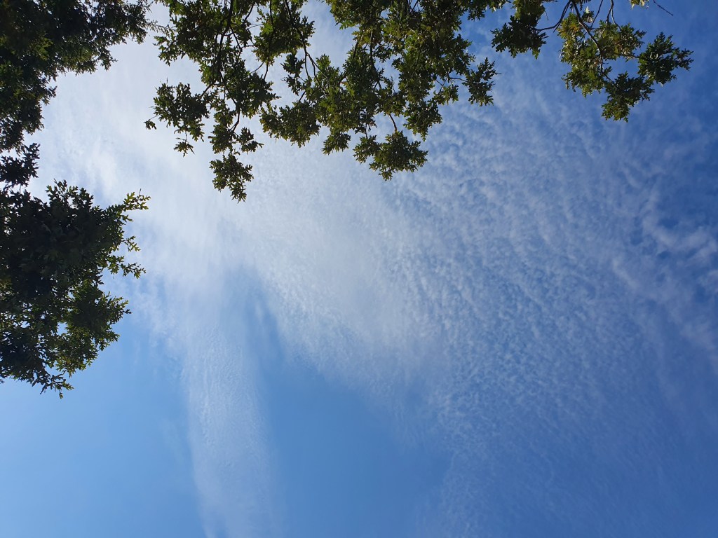 The 0.2% vs Medical Care for&nbsp;All