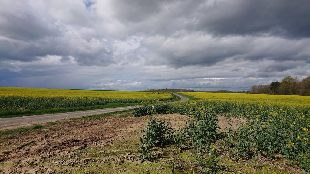 what's on the horizon